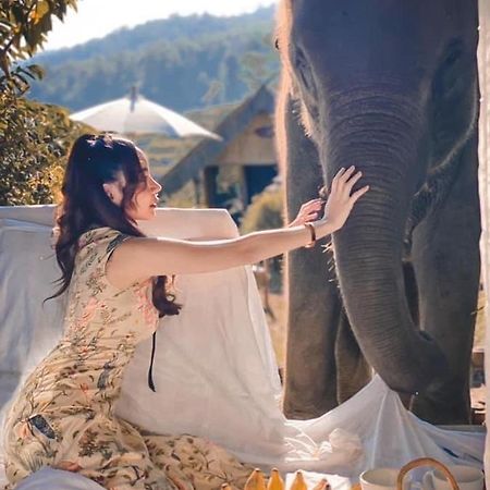 3 Pok Maewang Jinxiang Gold Elephant Park Mae Wang Dış mekan fotoğraf