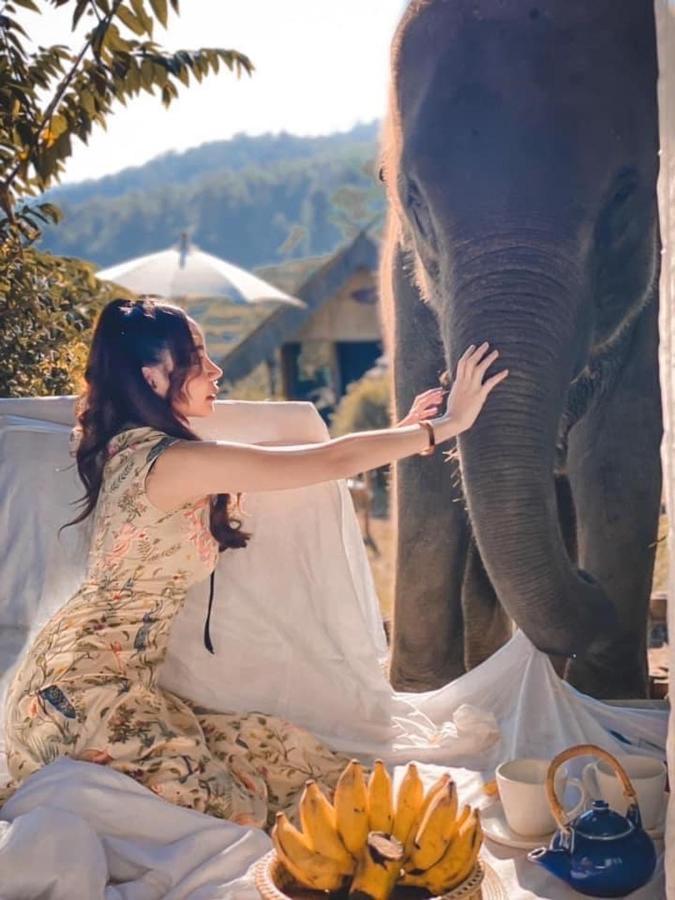 3 Pok Maewang Jinxiang Gold Elephant Park Mae Wang Dış mekan fotoğraf