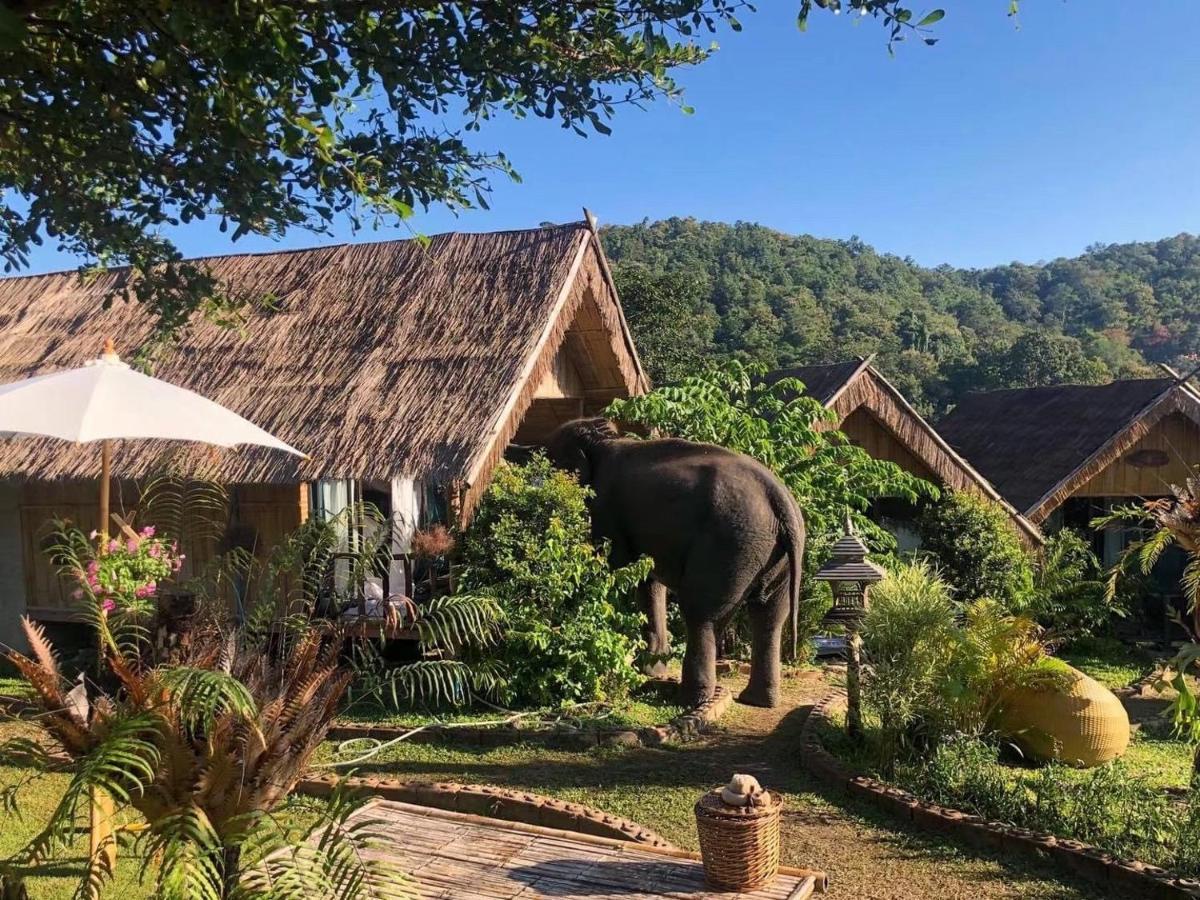 3 Pok Maewang Jinxiang Gold Elephant Park Mae Wang Dış mekan fotoğraf