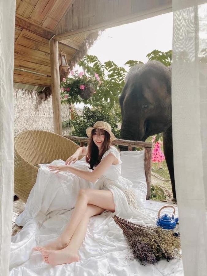 3 Pok Maewang Jinxiang Gold Elephant Park Mae Wang Dış mekan fotoğraf