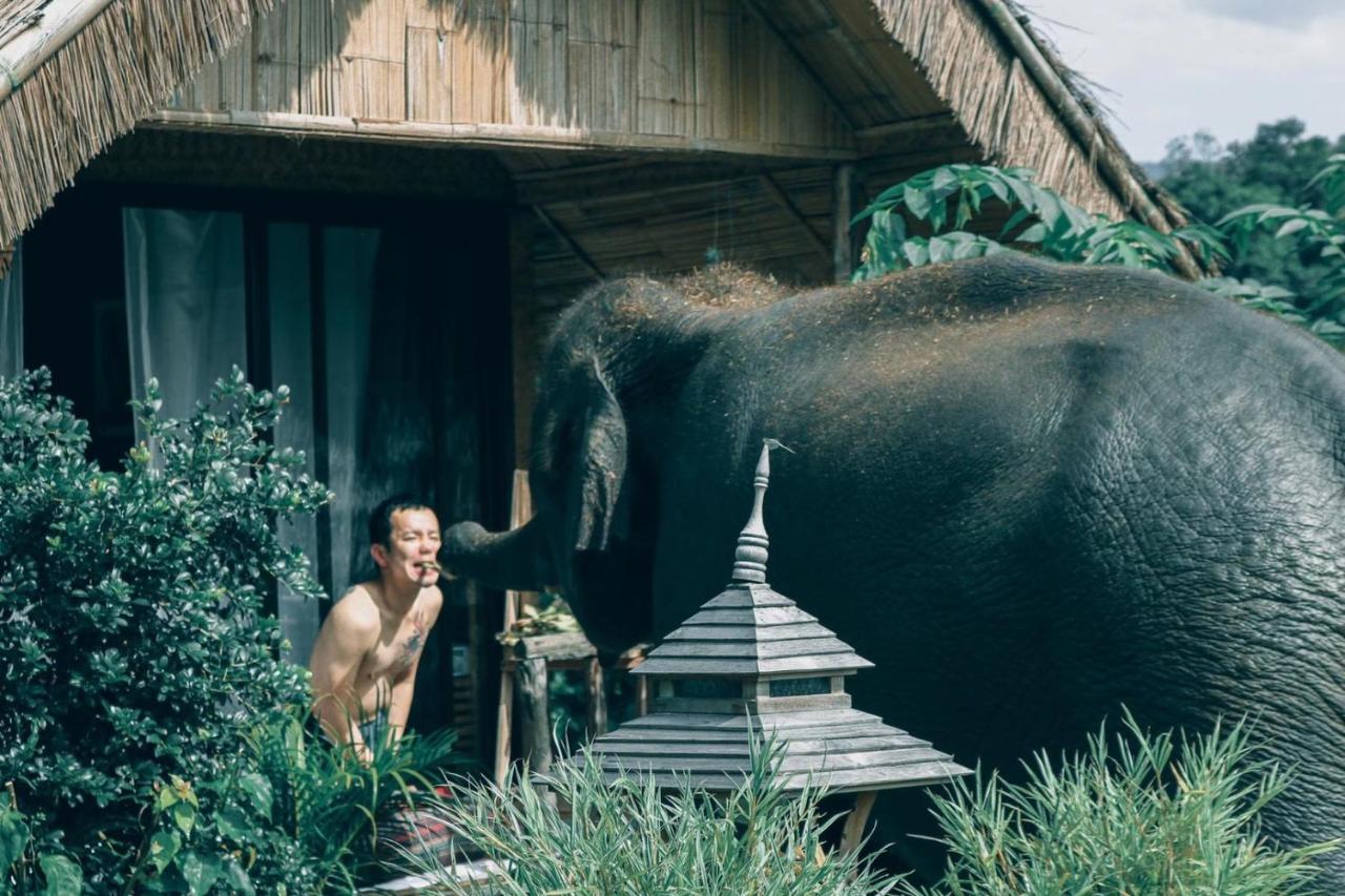 3 Pok Maewang Jinxiang Gold Elephant Park Mae Wang Dış mekan fotoğraf