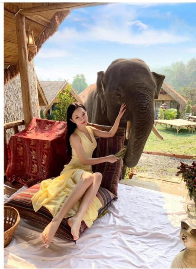 3 Pok Maewang Jinxiang Gold Elephant Park Mae Wang Dış mekan fotoğraf