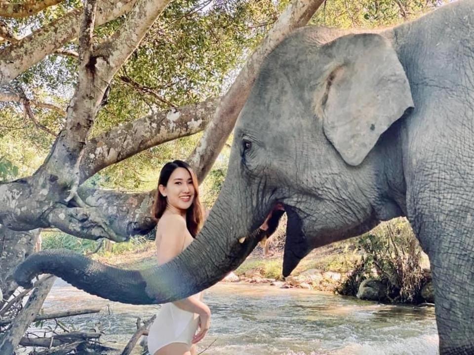 3 Pok Maewang Jinxiang Gold Elephant Park Mae Wang Dış mekan fotoğraf