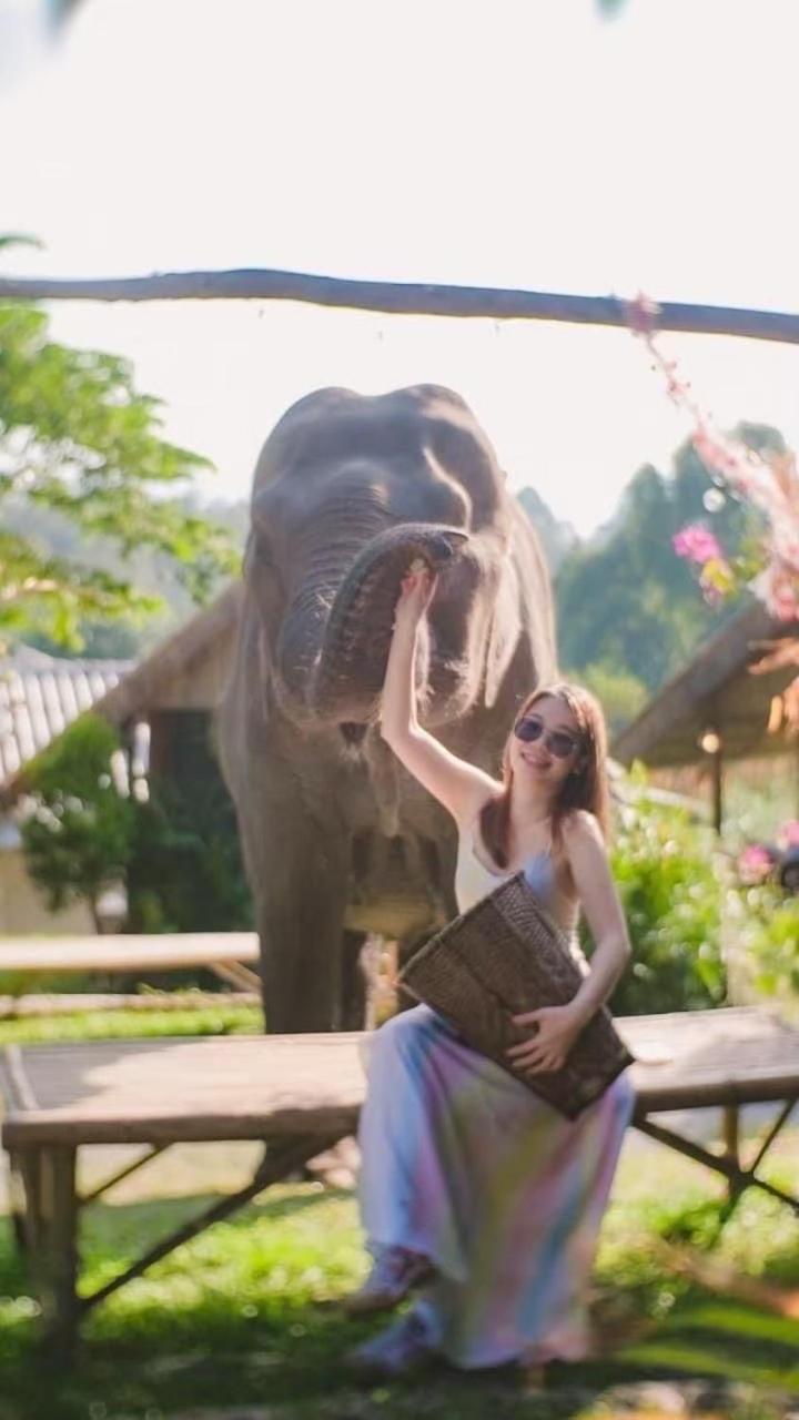 3 Pok Maewang Jinxiang Gold Elephant Park Mae Wang Dış mekan fotoğraf
