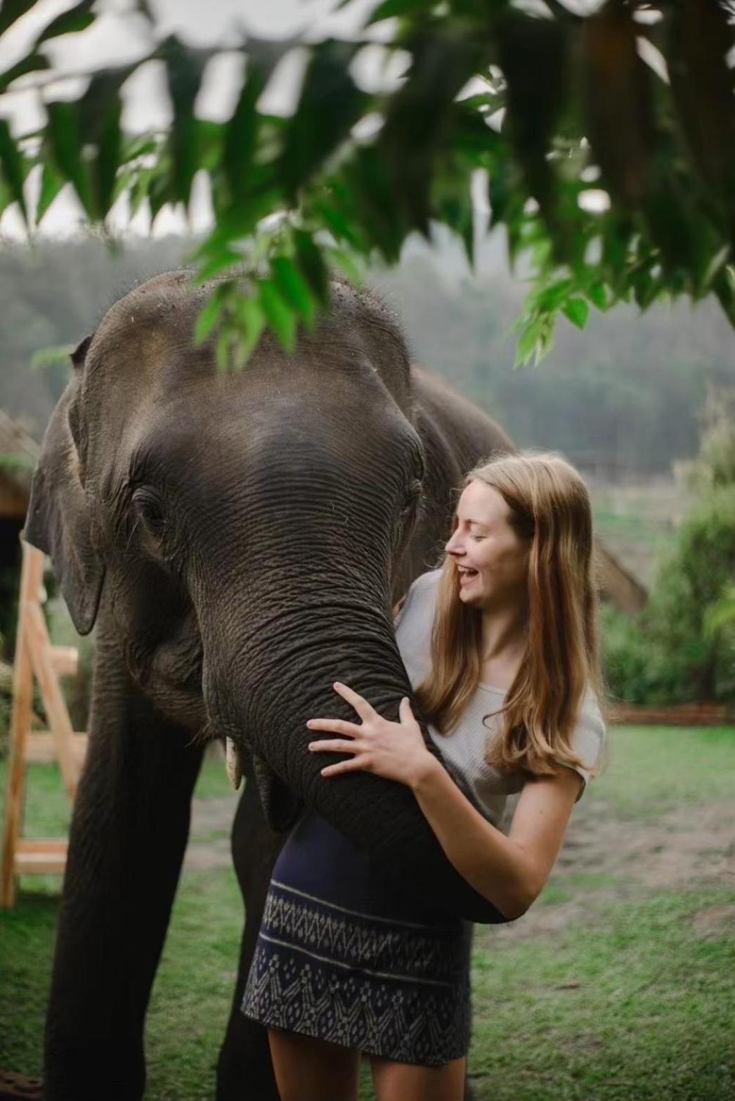 3 Pok Maewang Jinxiang Gold Elephant Park Mae Wang Dış mekan fotoğraf