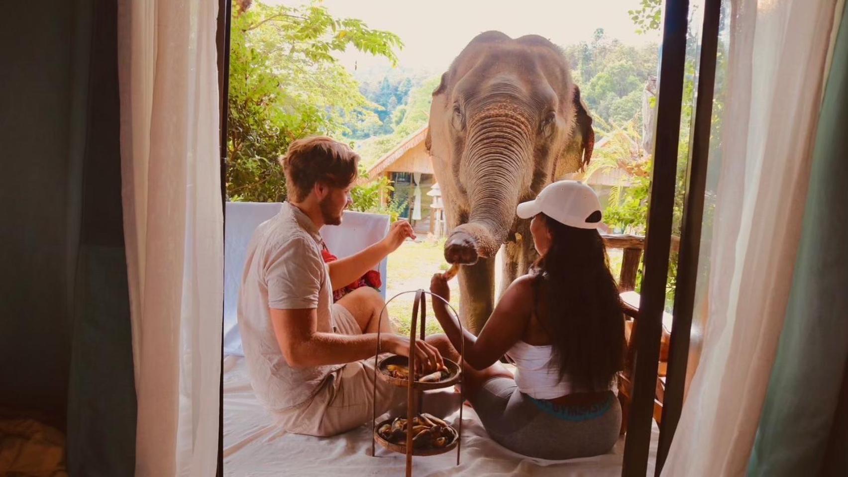 3 Pok Maewang Jinxiang Gold Elephant Park Mae Wang Dış mekan fotoğraf