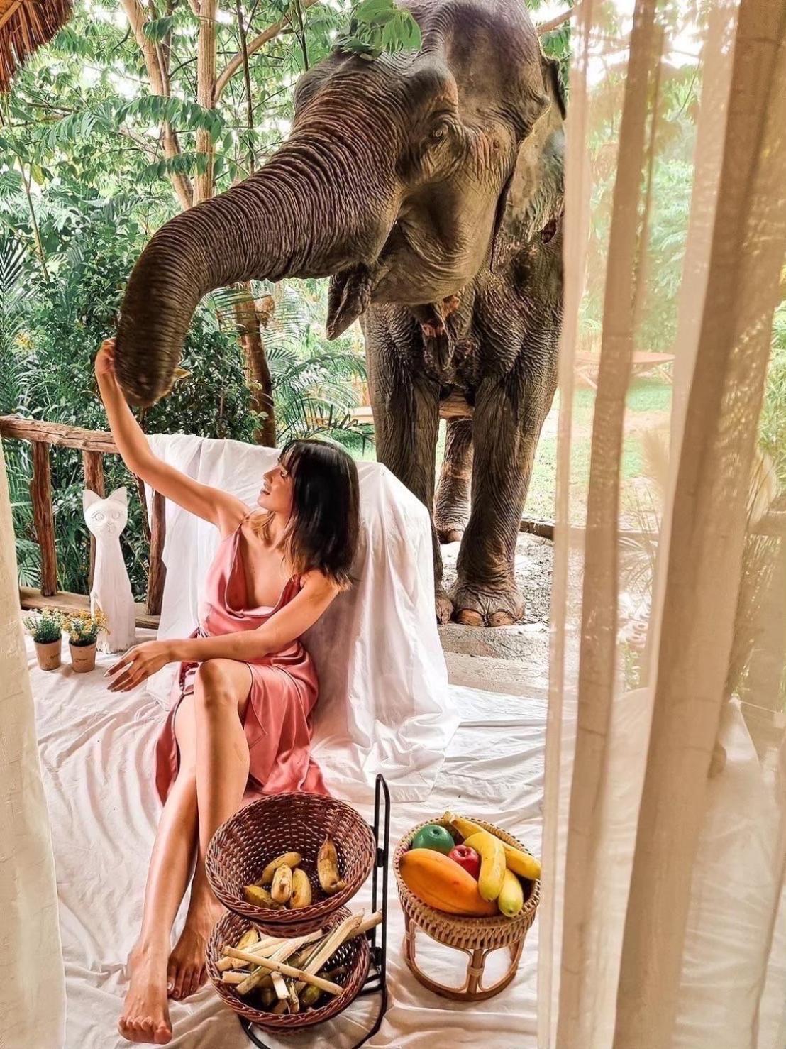 3 Pok Maewang Jinxiang Gold Elephant Park Mae Wang Dış mekan fotoğraf