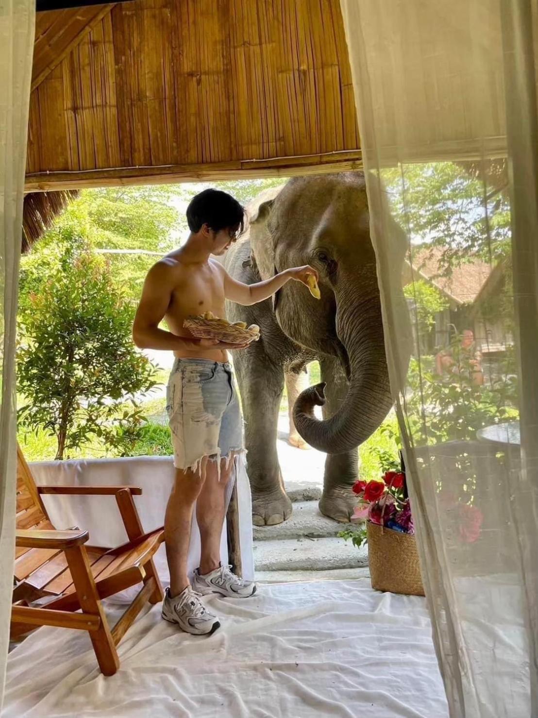 3 Pok Maewang Jinxiang Gold Elephant Park Mae Wang Dış mekan fotoğraf
