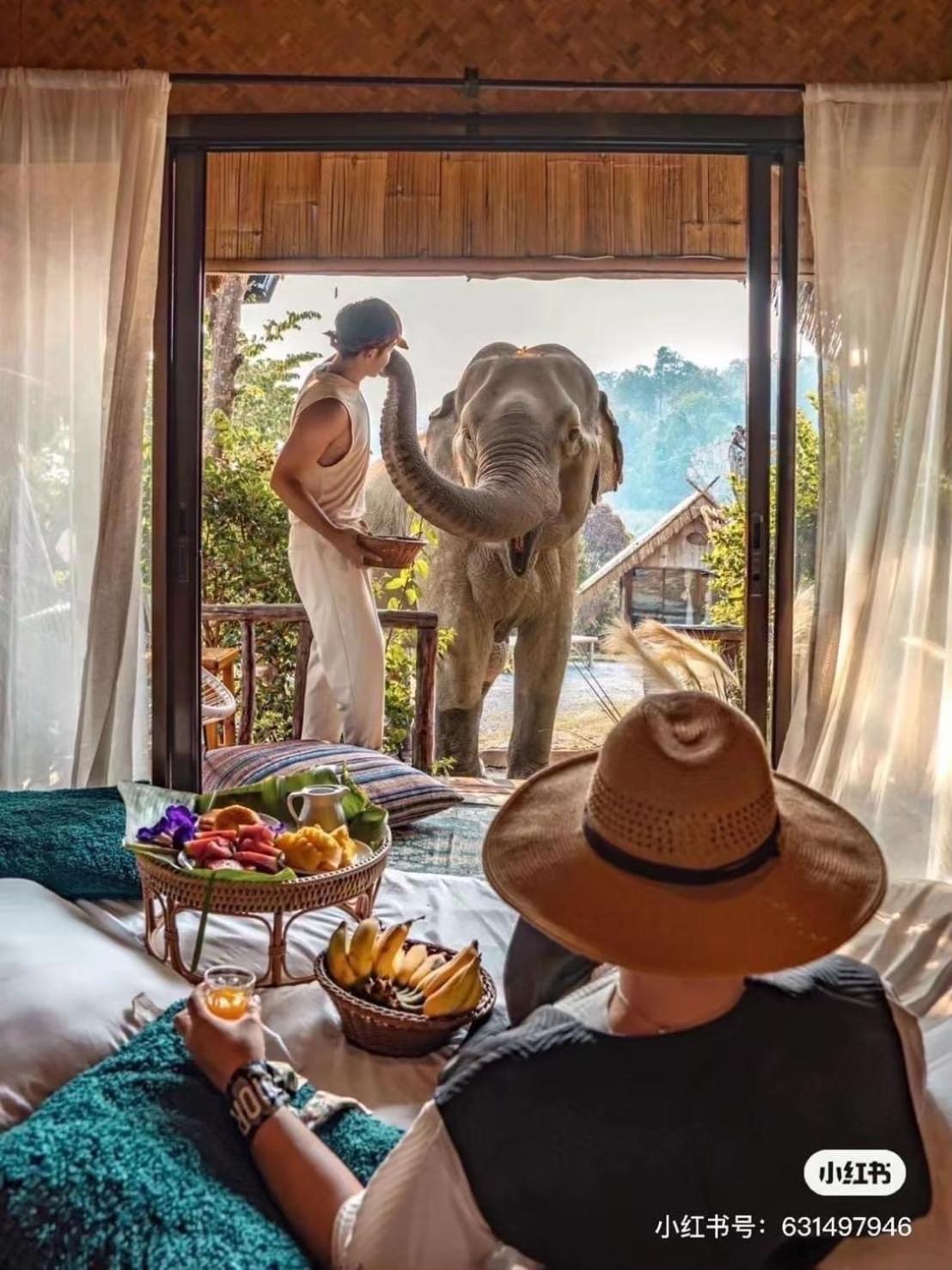 3 Pok Maewang Jinxiang Gold Elephant Park Mae Wang Dış mekan fotoğraf