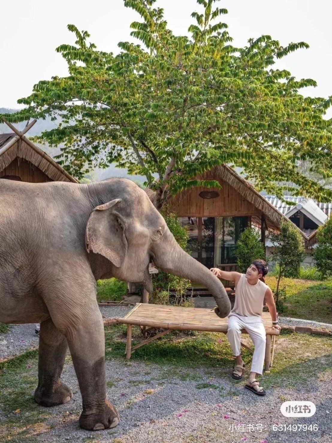 3 Pok Maewang Jinxiang Gold Elephant Park Mae Wang Dış mekan fotoğraf