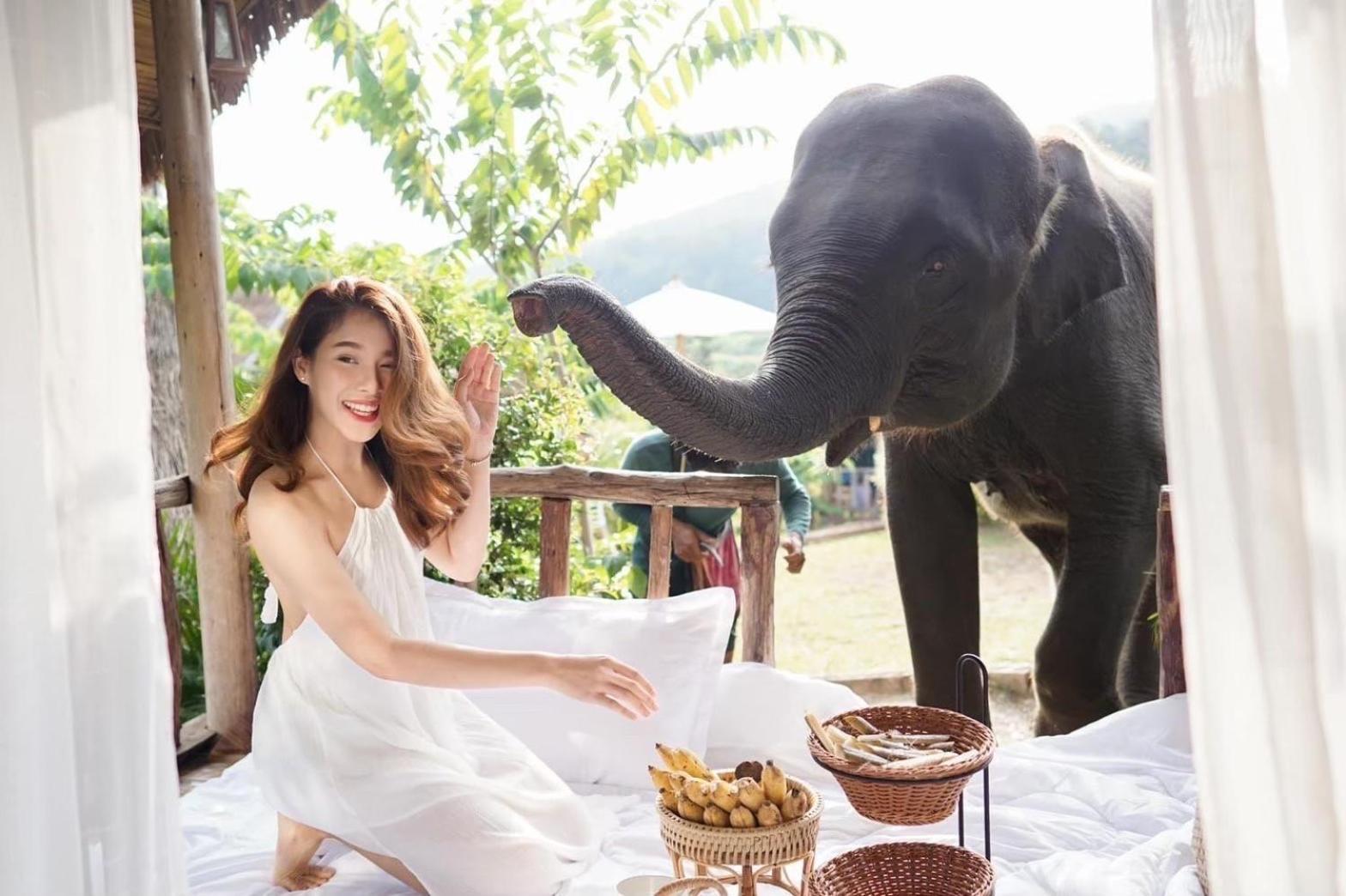 3 Pok Maewang Jinxiang Gold Elephant Park Mae Wang Dış mekan fotoğraf
