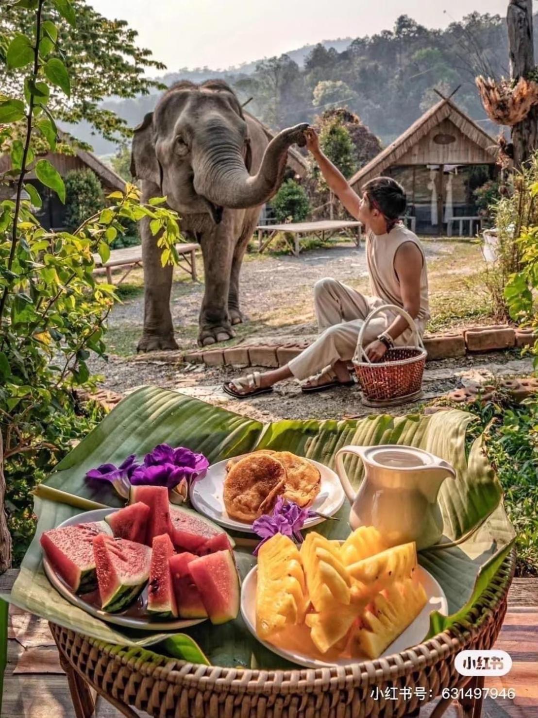 3 Pok Maewang Jinxiang Gold Elephant Park Mae Wang Dış mekan fotoğraf